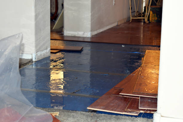 Professional Basement Flood Cleanup technician working in Holly, MI
